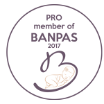 Banpas Pro-Member